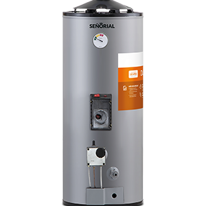 TERMOTANQUE SEÑORIAL 50 LTS DUAL